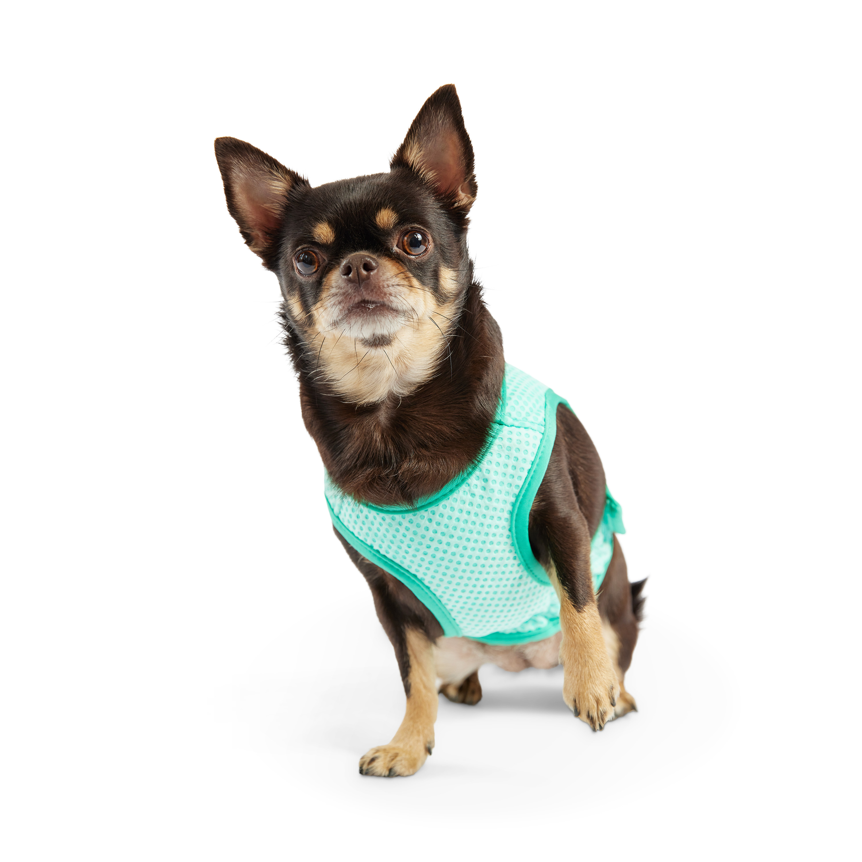 GF Pet Охолоджувальний жилет для собак – XS
