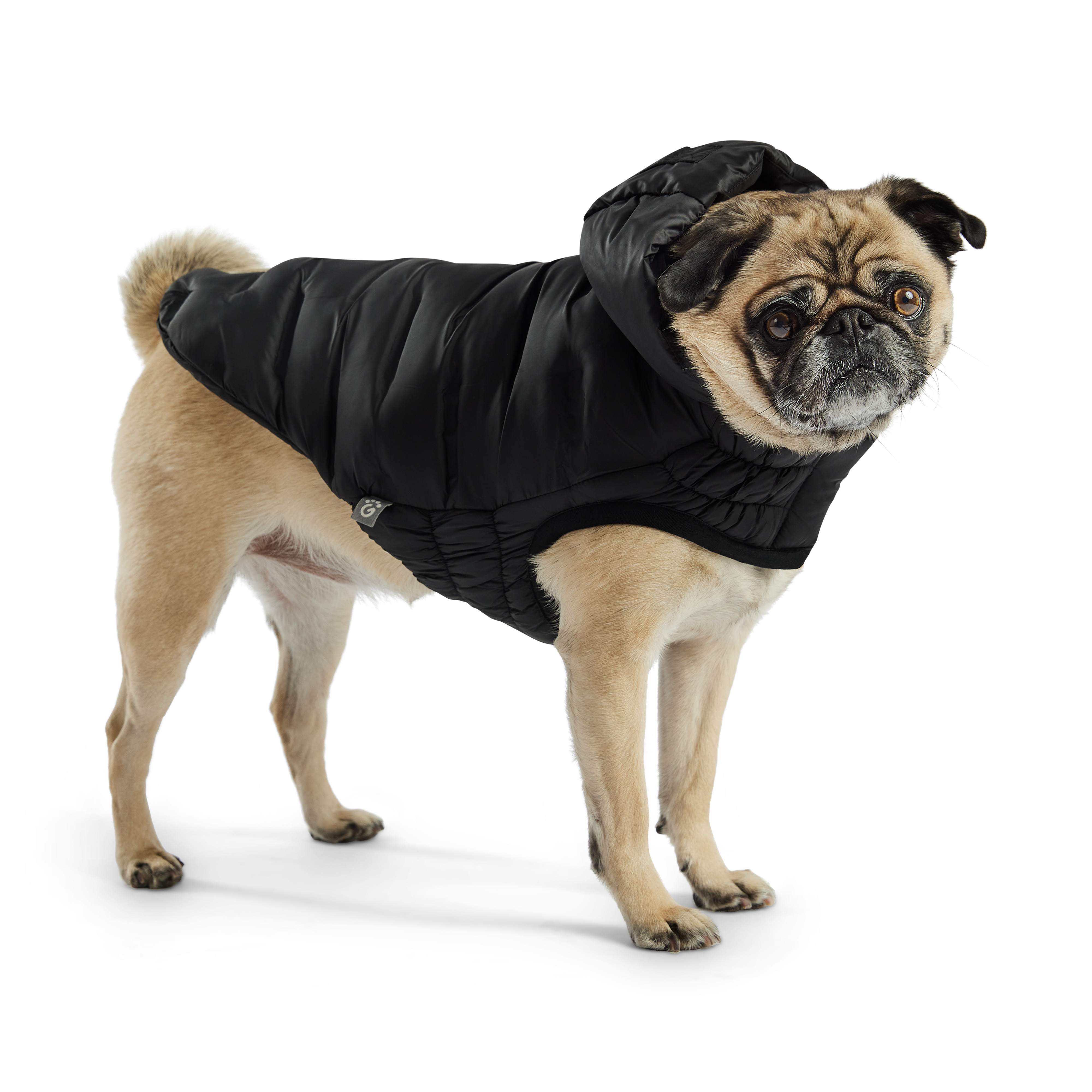 GF Pet Парка для собак Cloud, чорна – M, GJ526F4-BK