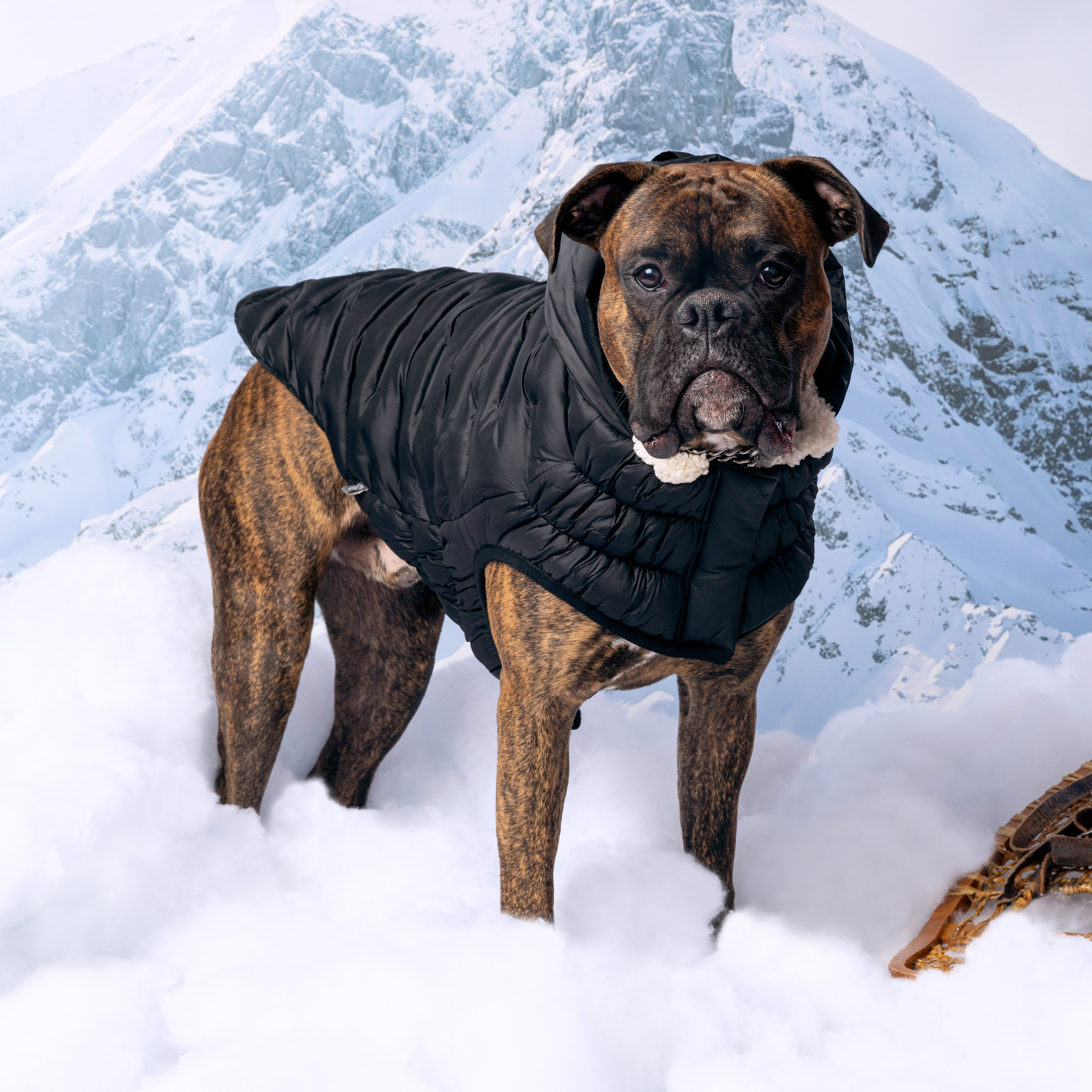 GF Pet Парка для собак Cloud, чорна – Image 6