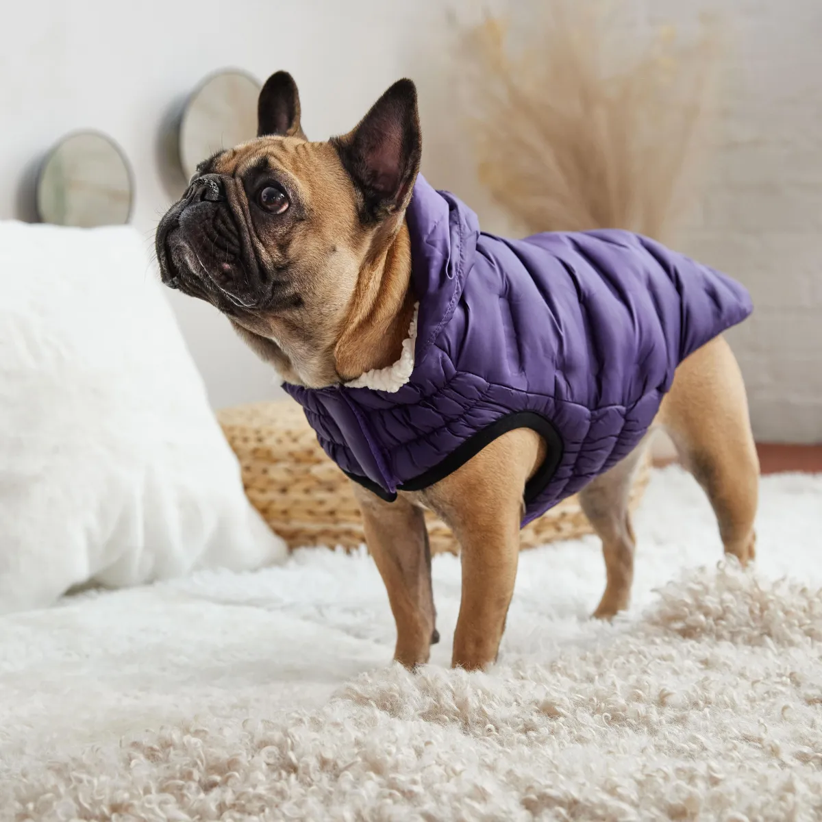 Парка для собак GF Pet Cloud, фіолетова – Image 5