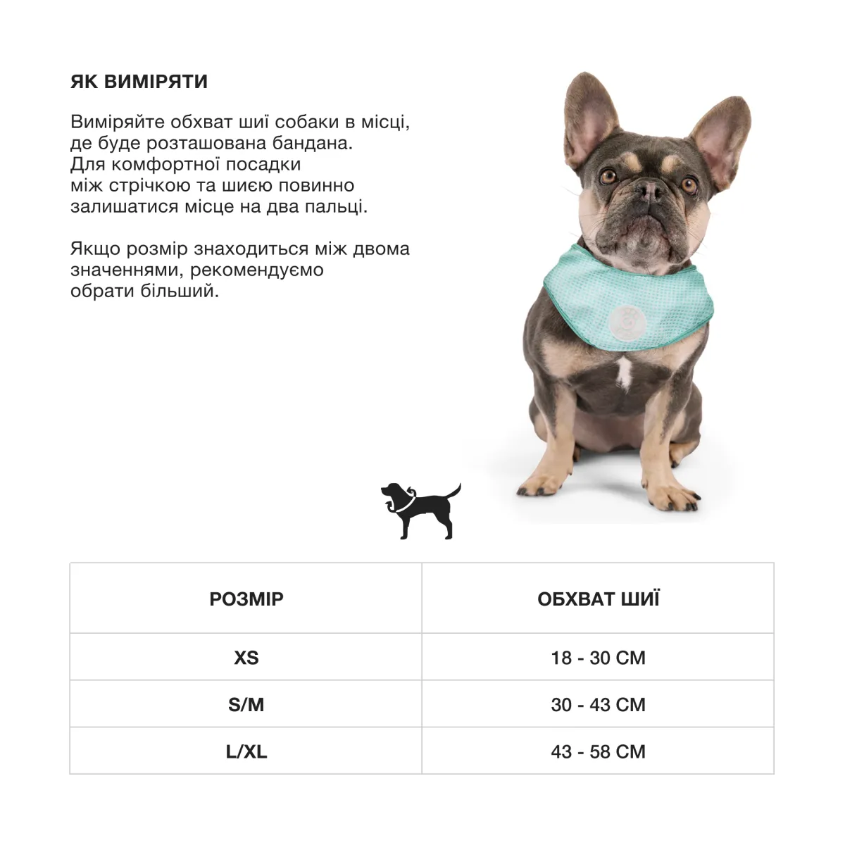 GF Pet Oхолоджувальна бандана для собак – Image 7