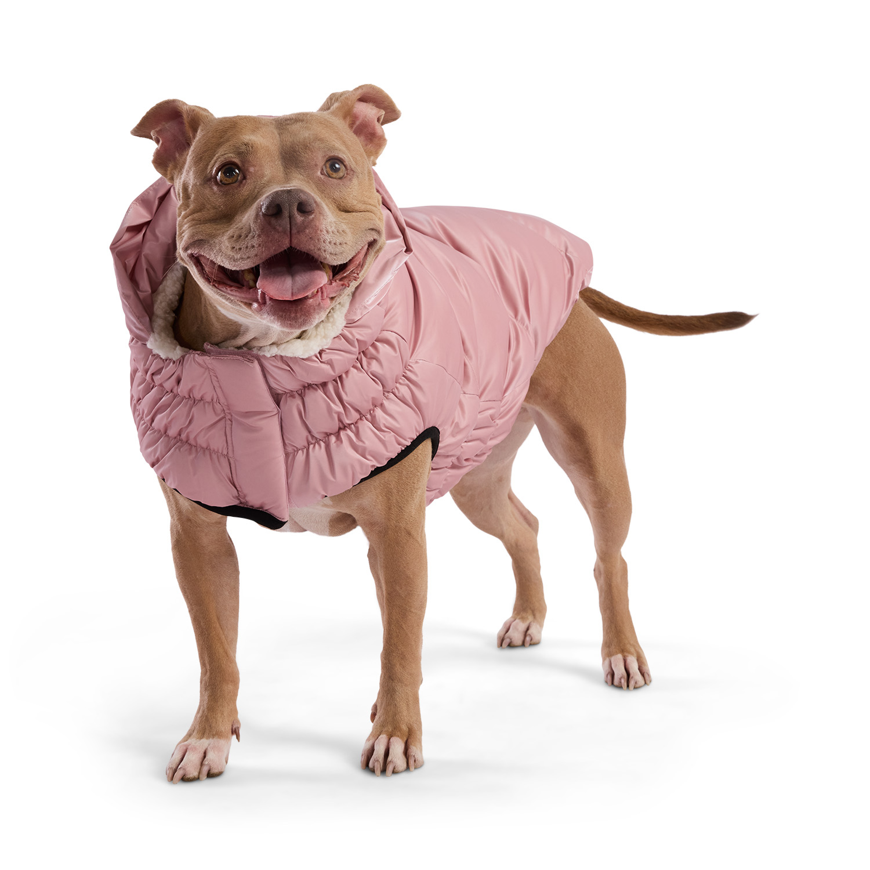 GF Pet Парка для собак Lunar Glow, рожева – L, GJ537F5-PK