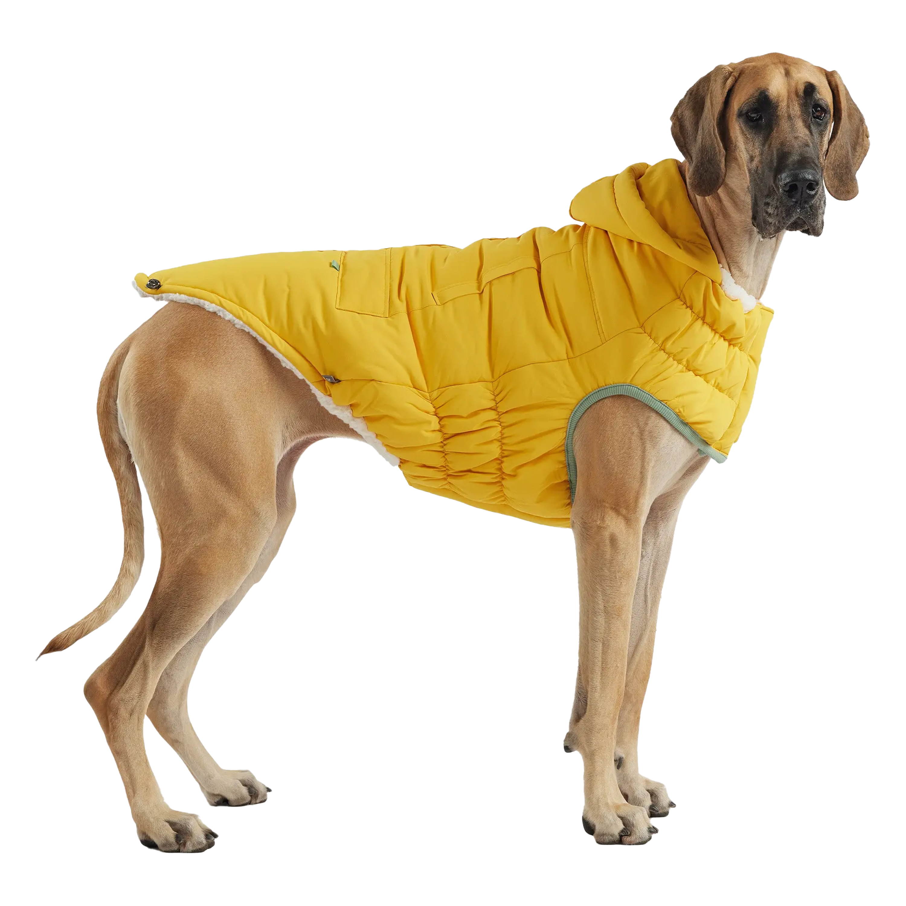 Парка для собак GF Pet Arctic, жовта – XL, GJ478F3