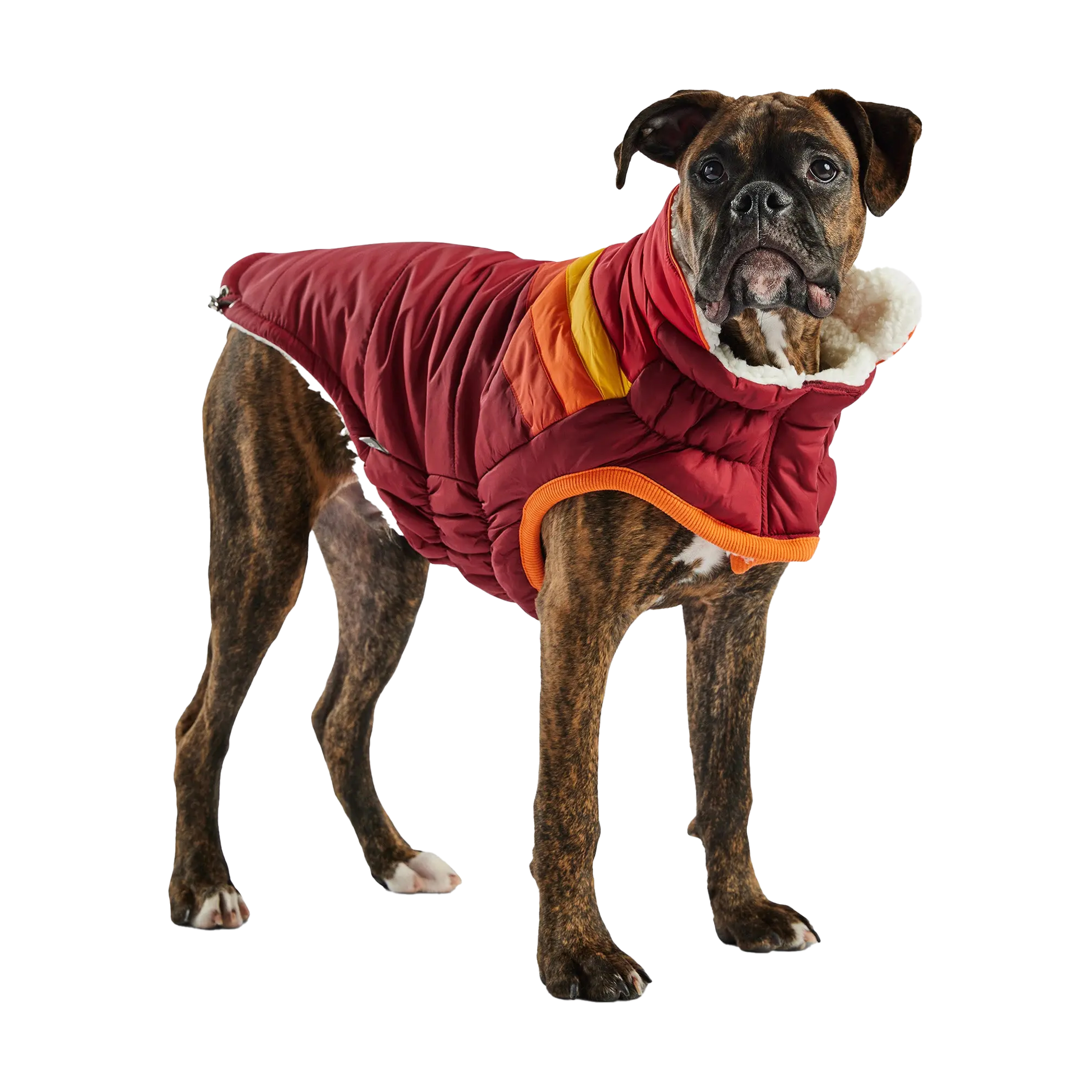 GF Pet Куртка-пуховик для собак Summit, темно-червона – XL, GJ385F0