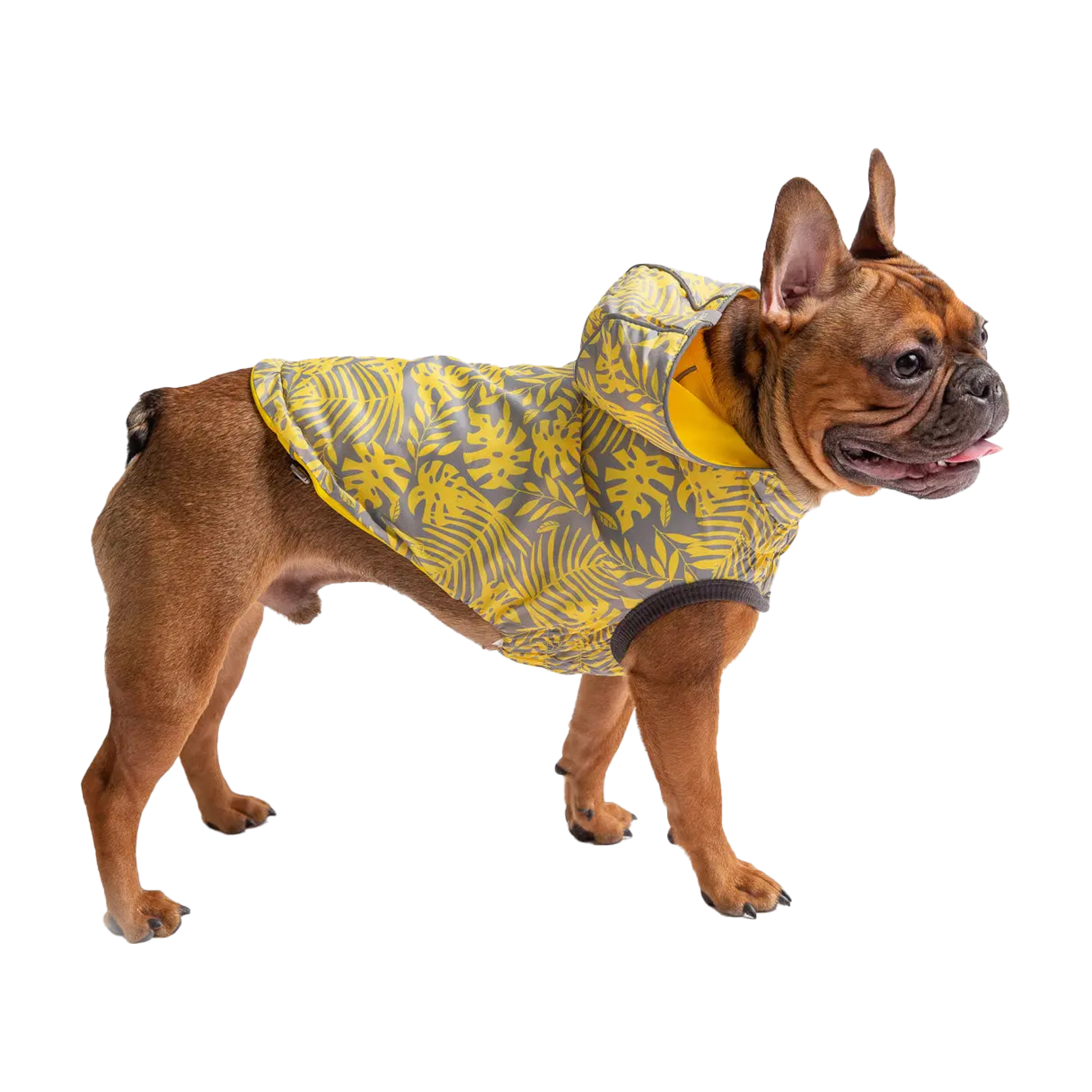 GF Pet Двосторонній дощовик Reversible, жовтий – S, GJ023S0