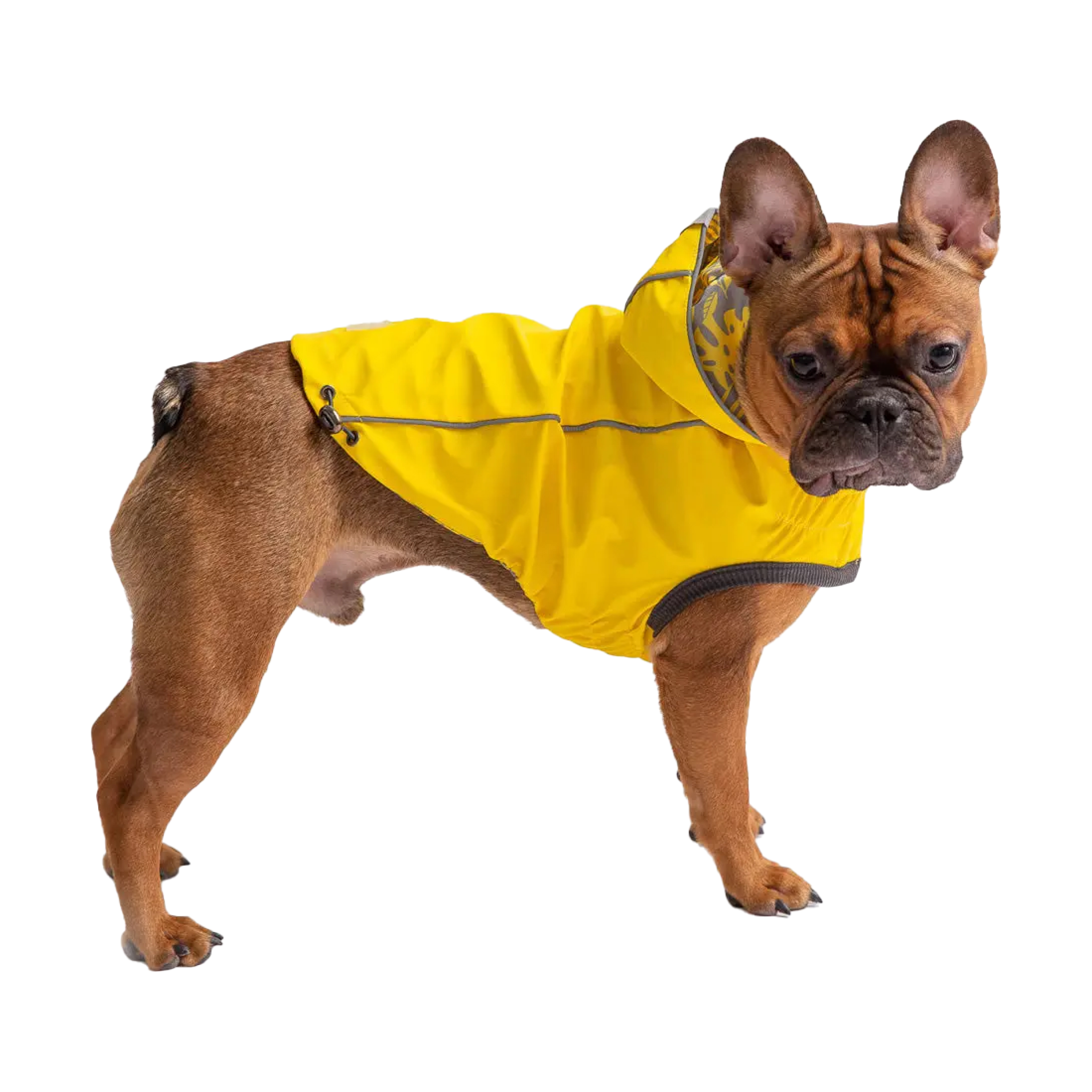 GF Pet Двосторонній дощовик Reversible, жовтий – M, GJ023S0