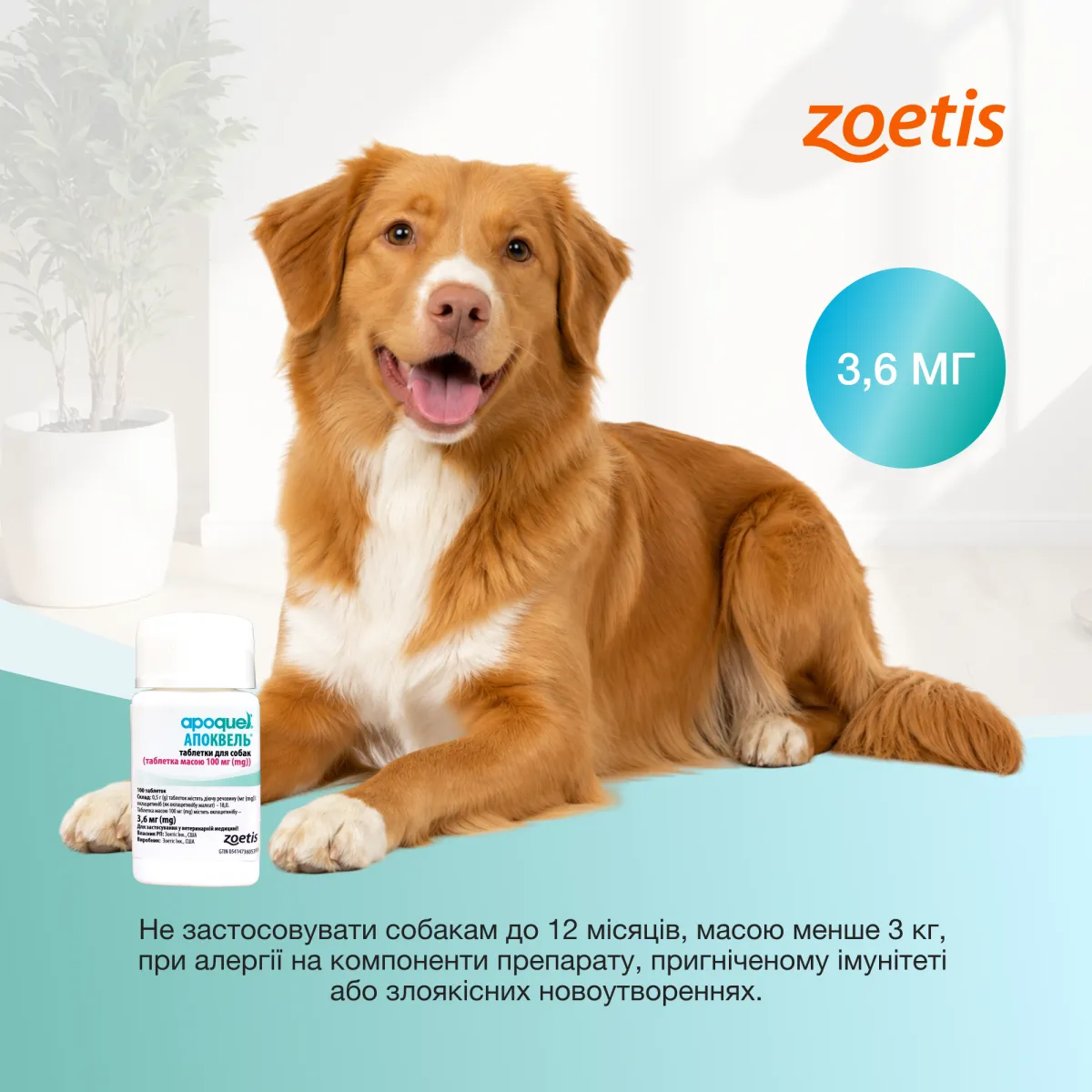 Zoetis Апоквел 3,6 мг, таблетки для собак, 100 шт. – Image 3