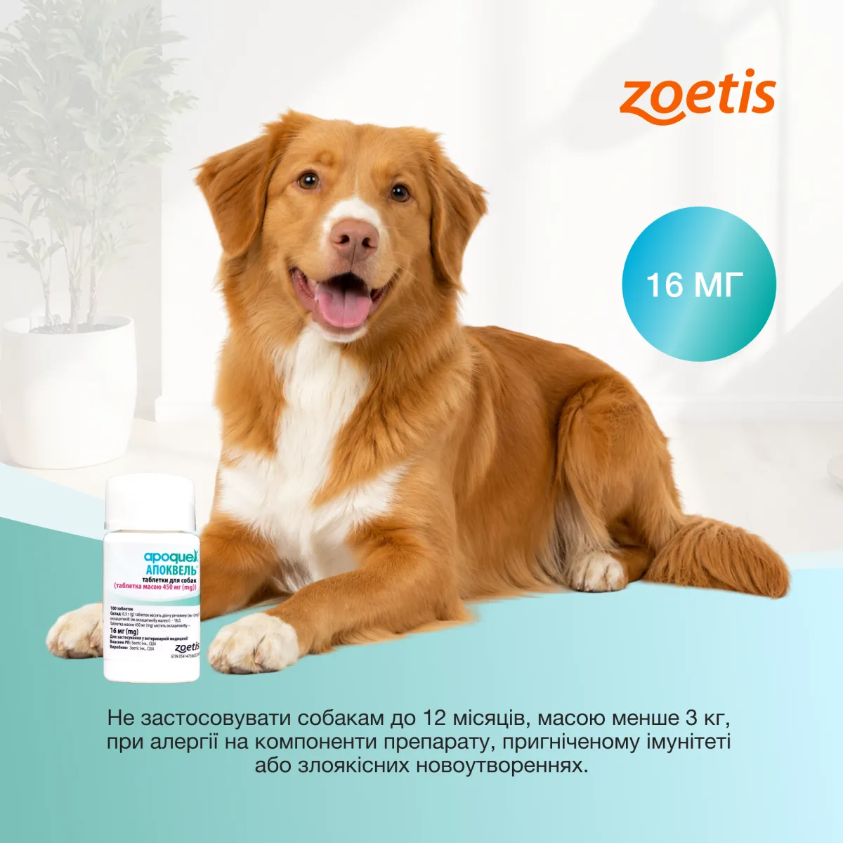 Апоквел 16 мг, таблетки для собак Zoetis, 100 шт. – Image 3