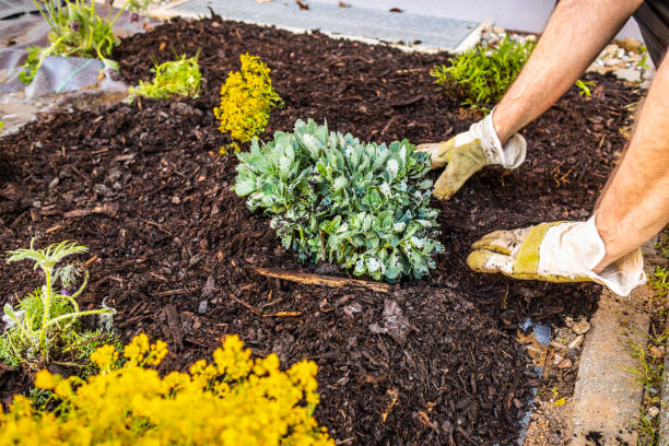 Flower Planting in Knoxville