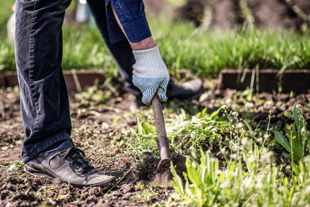 Gardening Services in Knoxville