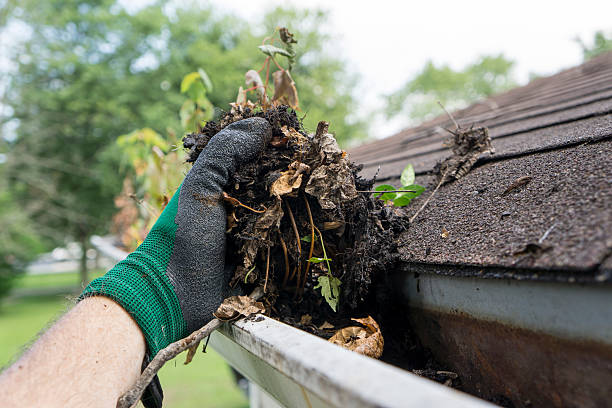 Gutter Cleaning in Knoxville