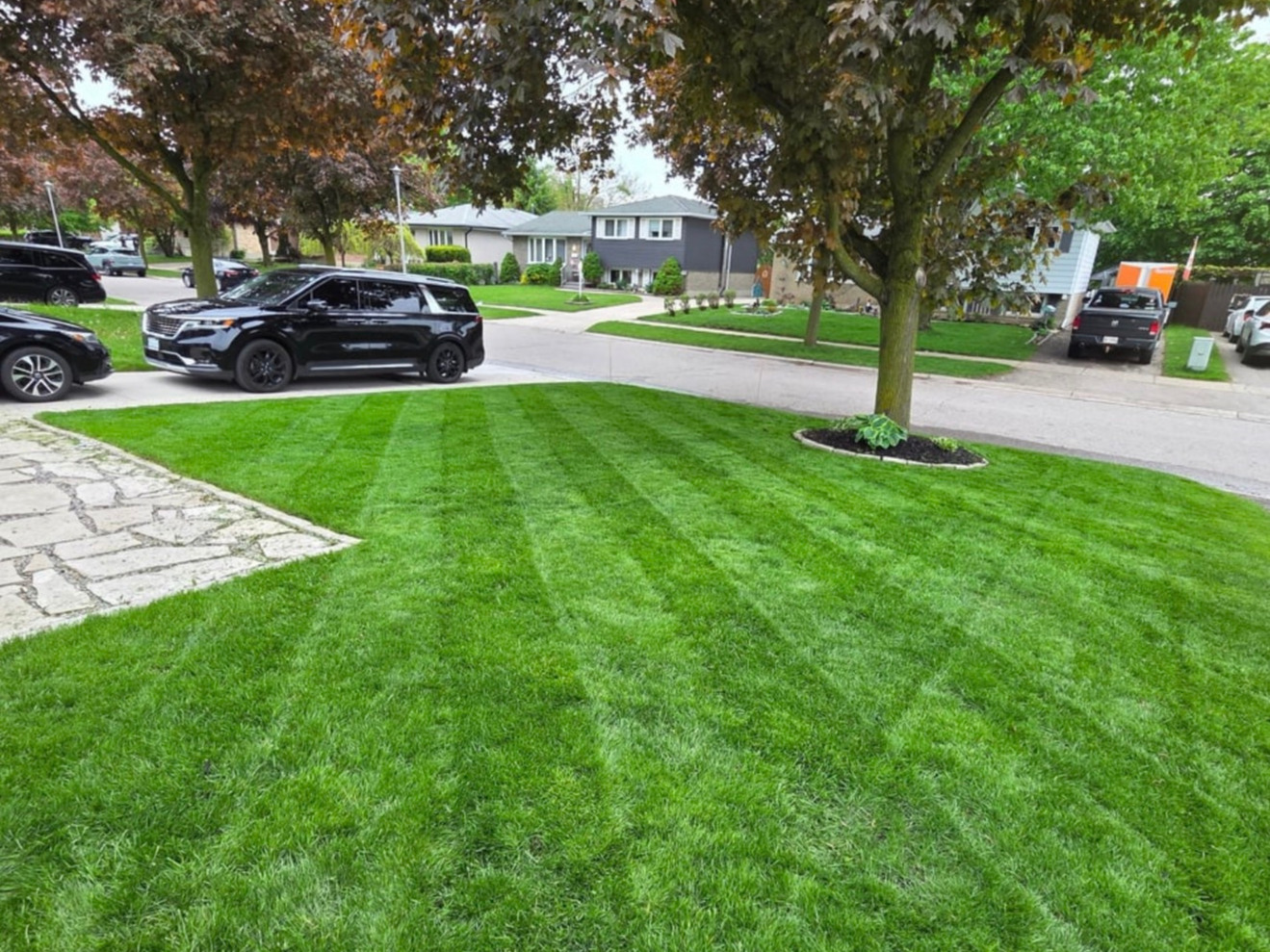 Lawn Maintenance Knoxville
