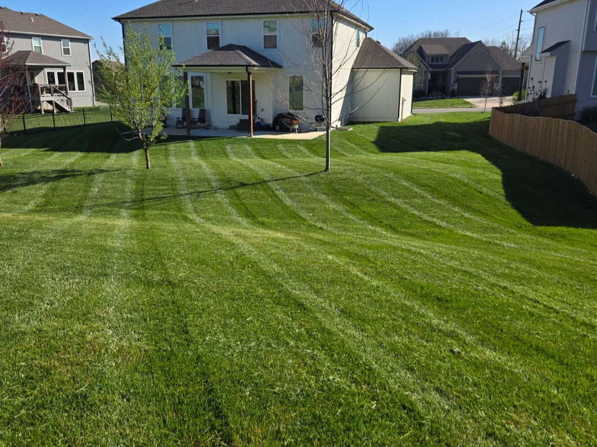 Hedge Trimming Knoxville