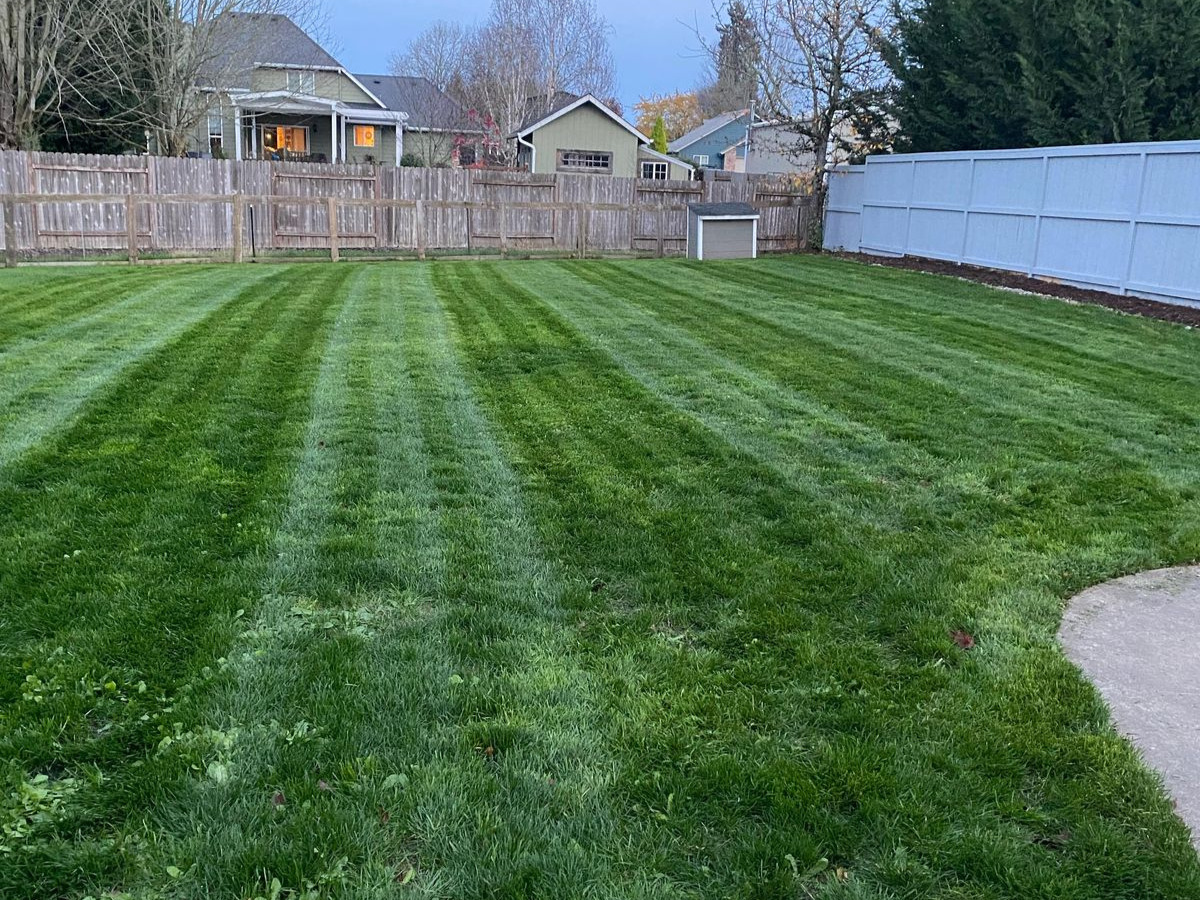 Sod Installation Knoxville
