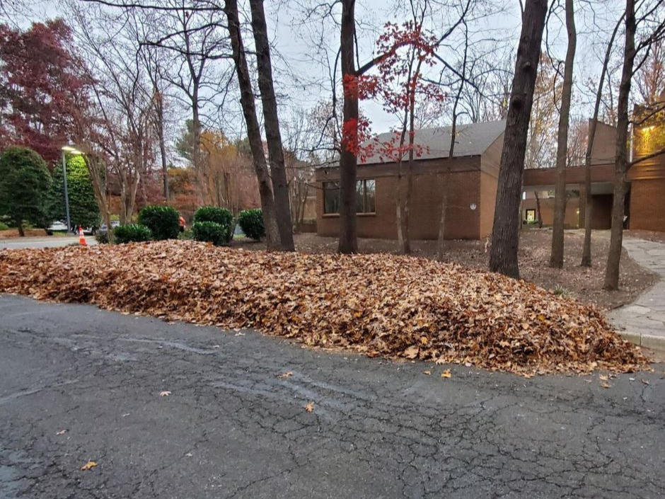 Leaf Removal Knoxville