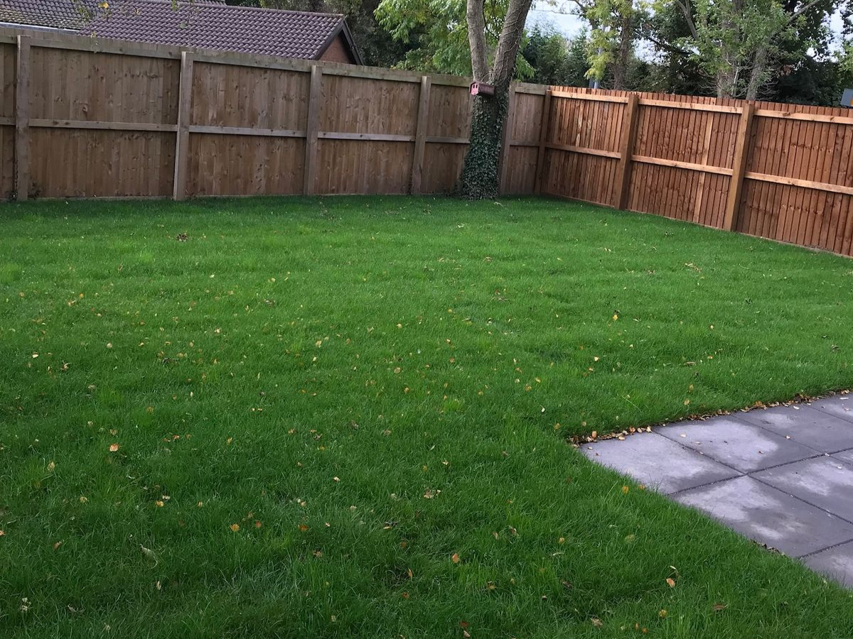 Flower Planting Knoxville