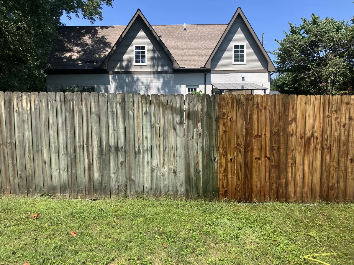 Fence Cleaning