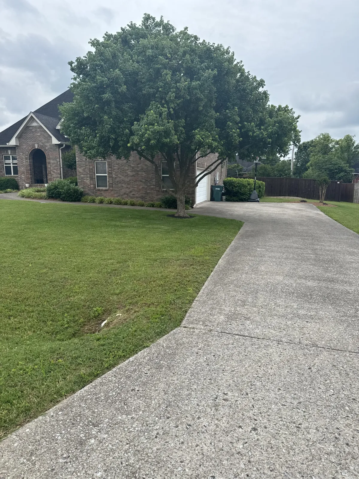 Driveway Cleaning