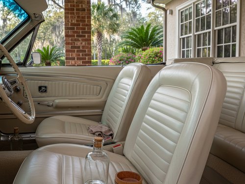 Car Carpet Cleaning in Savannah, GA