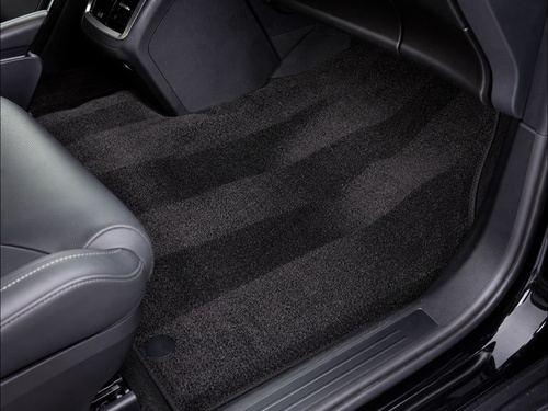 Car Carpet Cleaning Savannah, GA