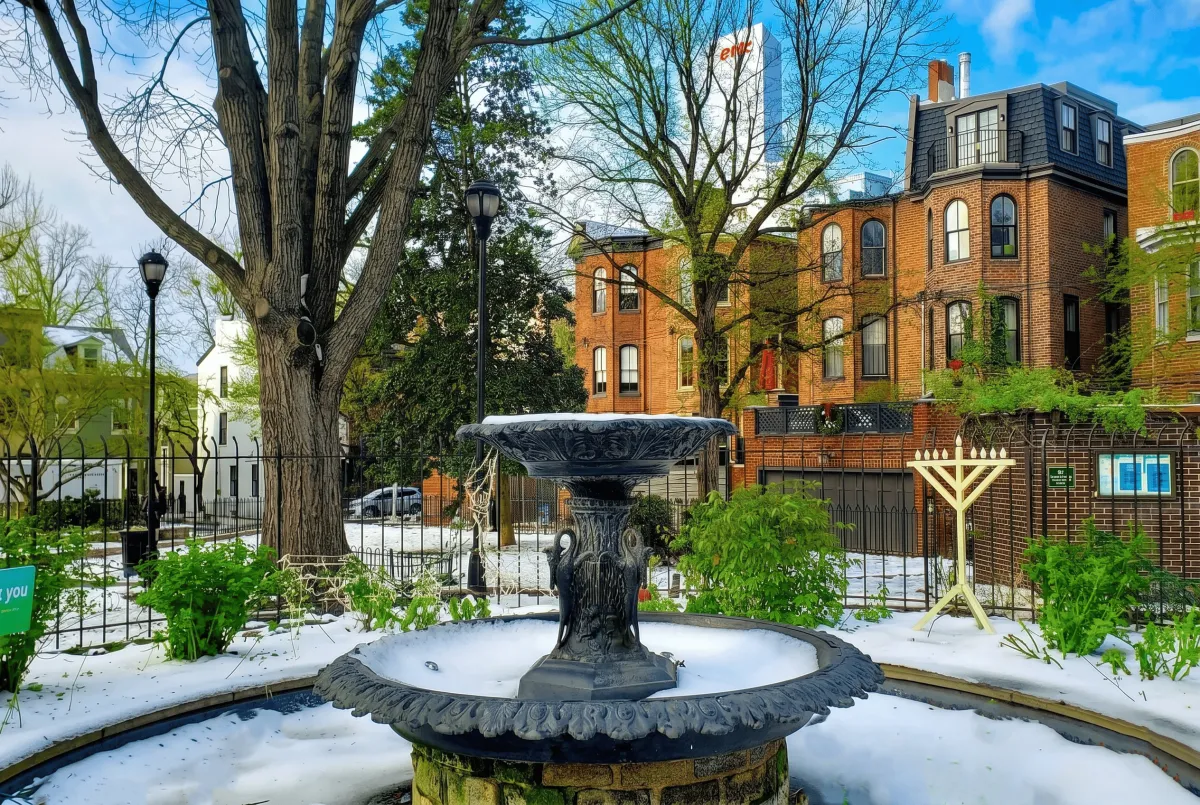 Neighborhood Spotlight: Fitler Square Guide