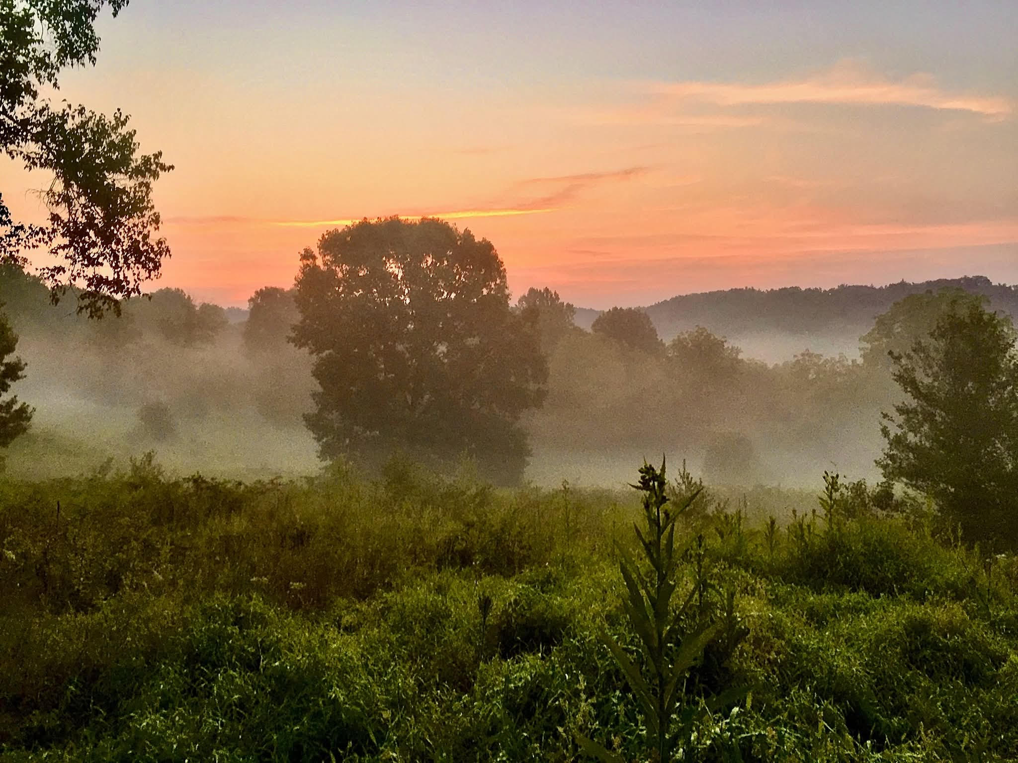 Hidden Gems in Philadelphia