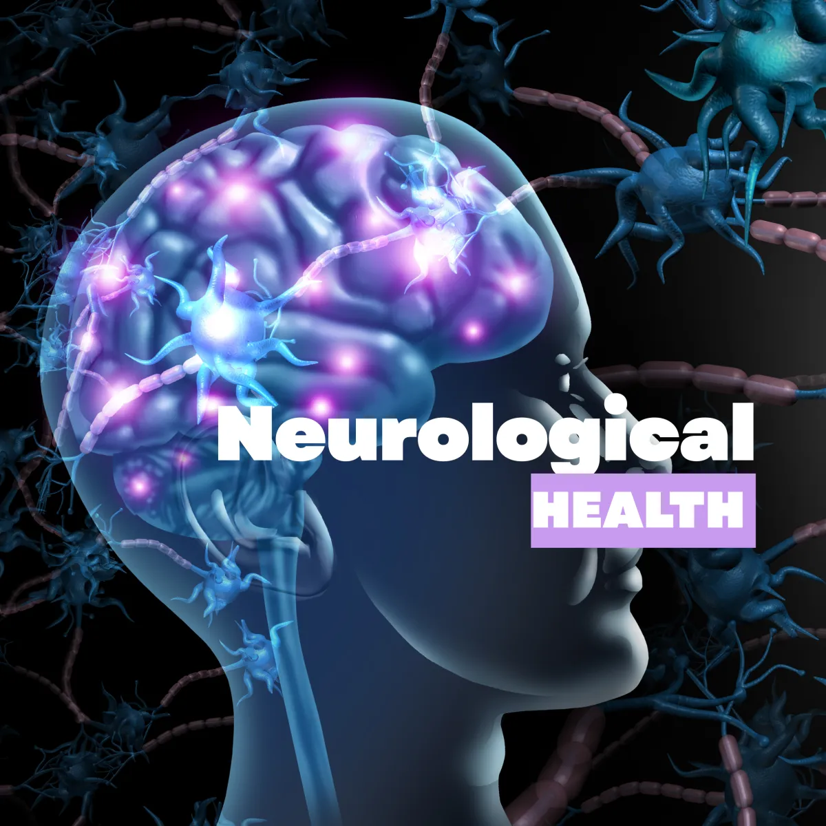 holistic cognitive rehabilitation strategies & integrate therapeutic techniques that consider the whole person