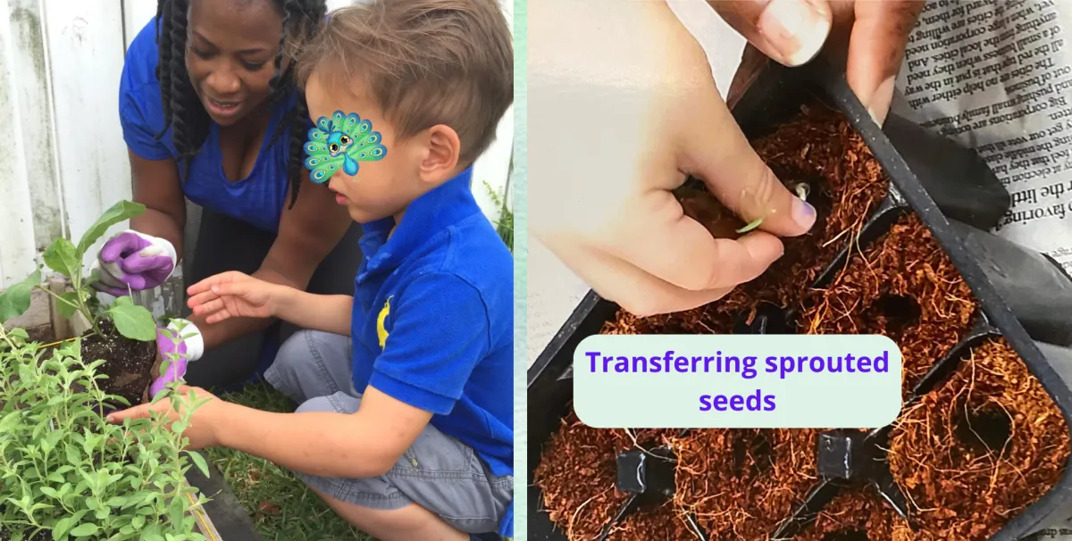 Children exploring nature and gardening at Ambassador Kids Montessori in Fort Lauderdale