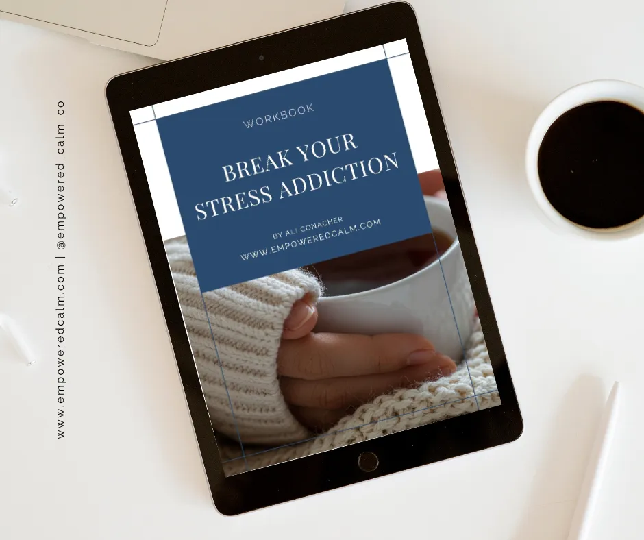 New Break Your Stress Addiction Workbook Available to download