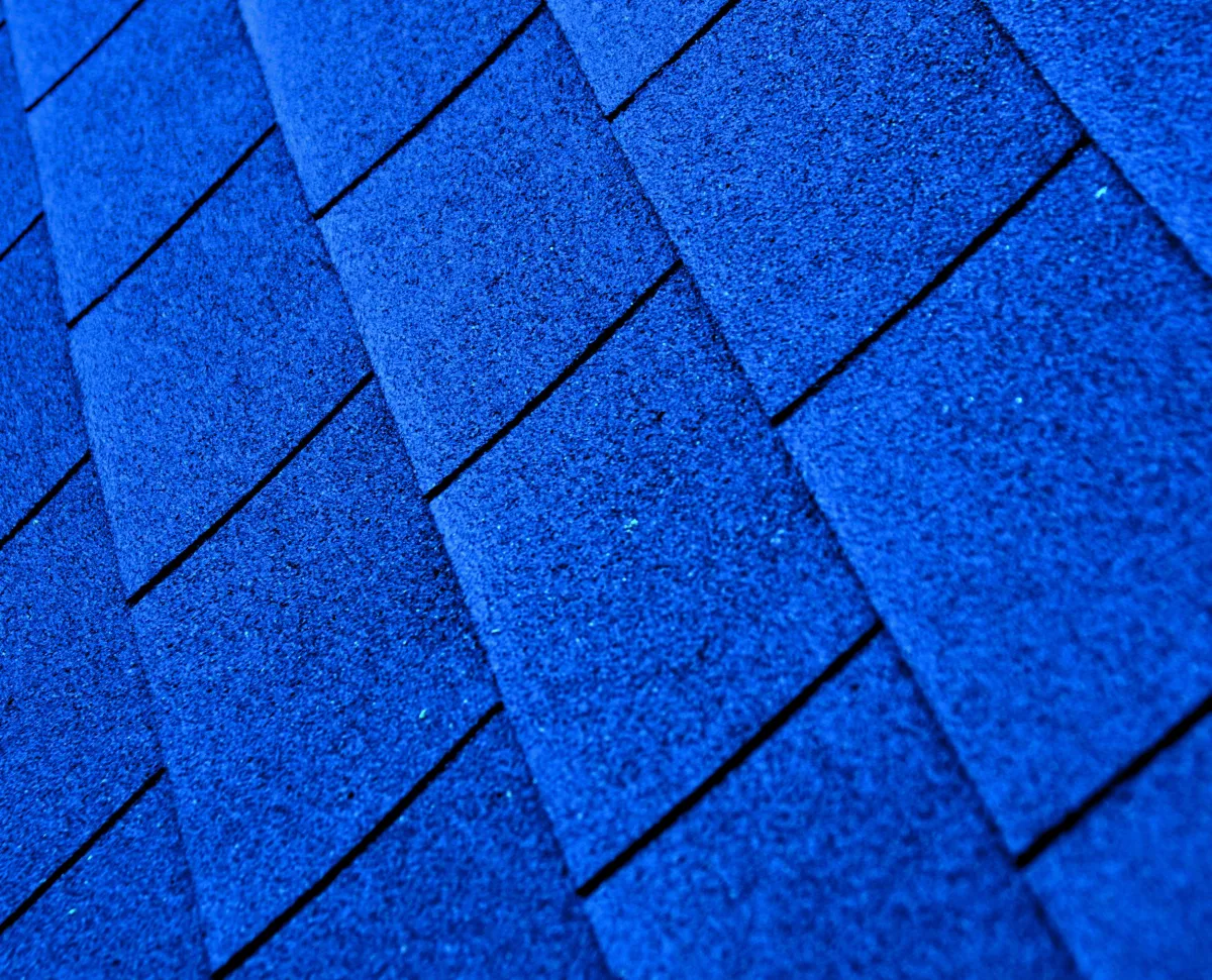 Shingle Roof