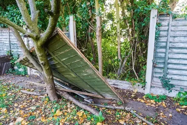 Beautiful wooden fence and garden shed in lush backyard with flower beds, greenery, and trees enhancing outdoor charm