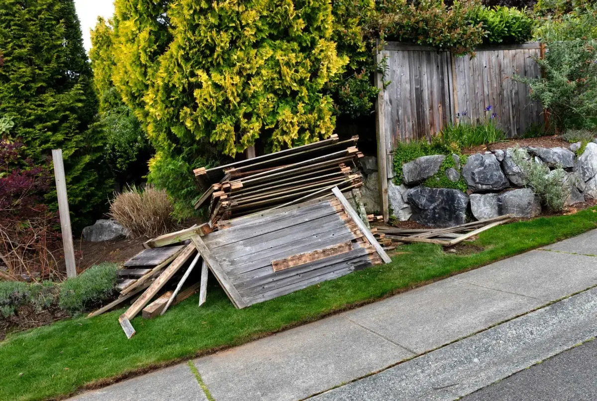 Well-maintained wooden fence and modern sheds with detailed textures in a lush Myrtle Beach backyard with flowering plants and coastal scenery