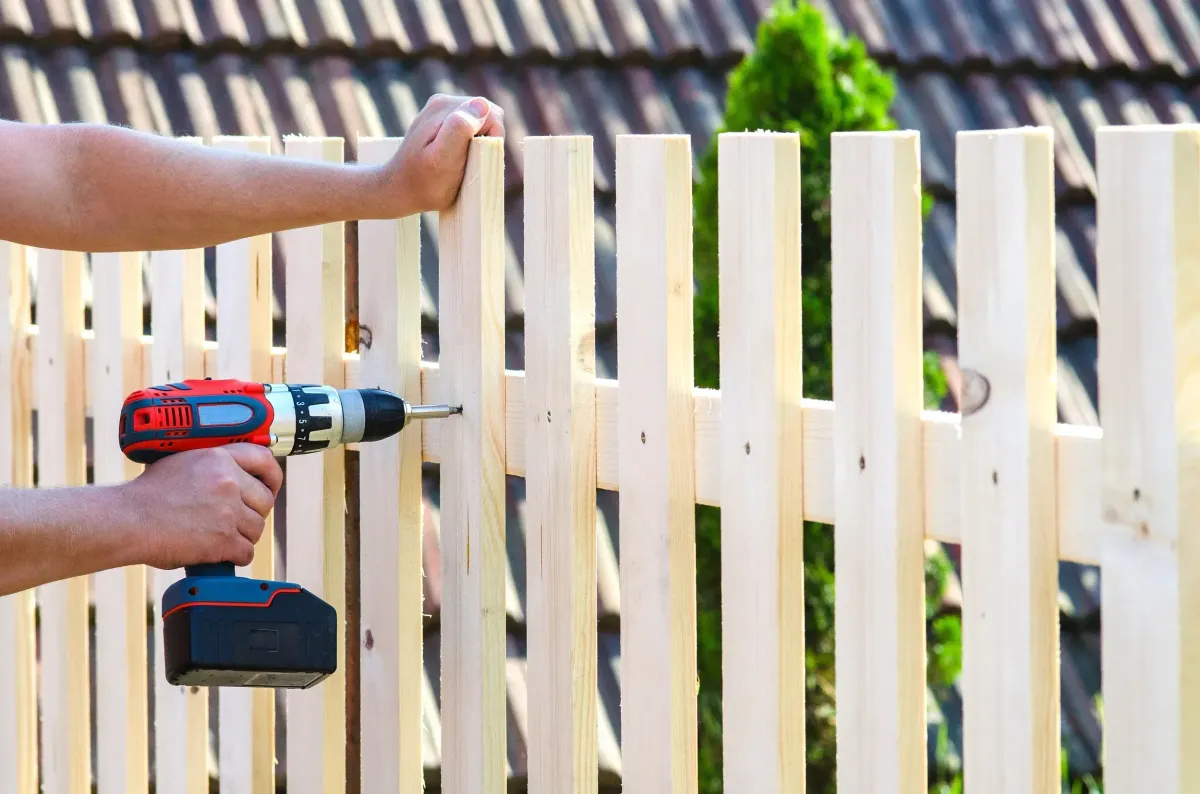 Beautiful cedar privacy fence and modern sheds in Myrtle Beach with lush greenery under a bright sunny sky