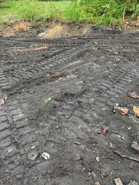 Demolition site in Charleston SC showcasing modern building, clean debris, excavator, and Southern charm with oak trees.