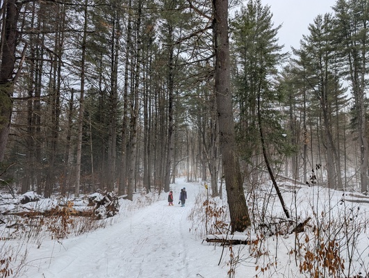 A week of sharing knowledge at Fulton’s Sugar Bush (Mar 16-20)