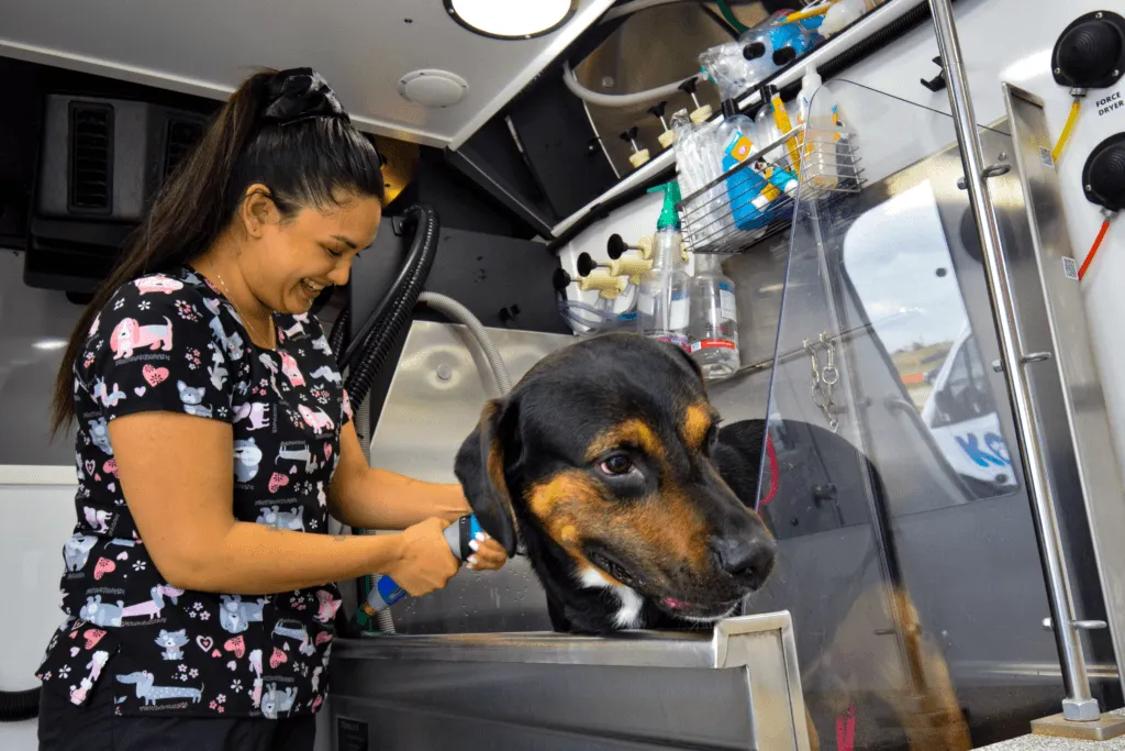 Kontota Franchise Dog Grooming Franchise