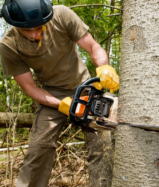 Man holding a chainsaw | Hamilton, OH | Jaime's Tree Service