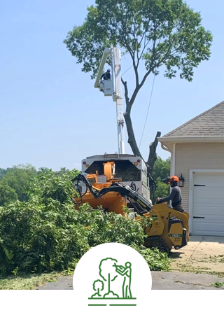 Tree trimming | Liberty Township, OH | Jaime's Tree Service