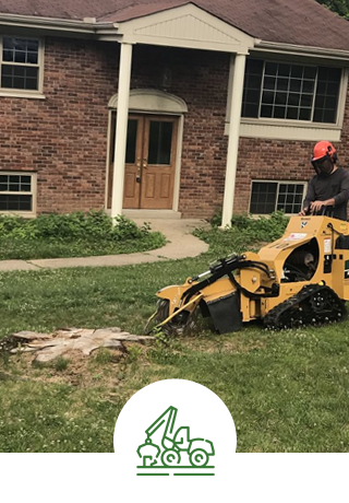 Stump Grinding | Cincinnati, OH| Jaime's Tree Service