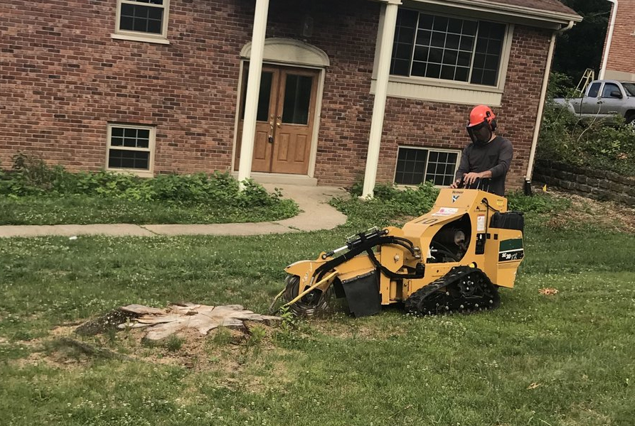 Stump Grinding | Hamilton, OH | Jaime's Tree Service