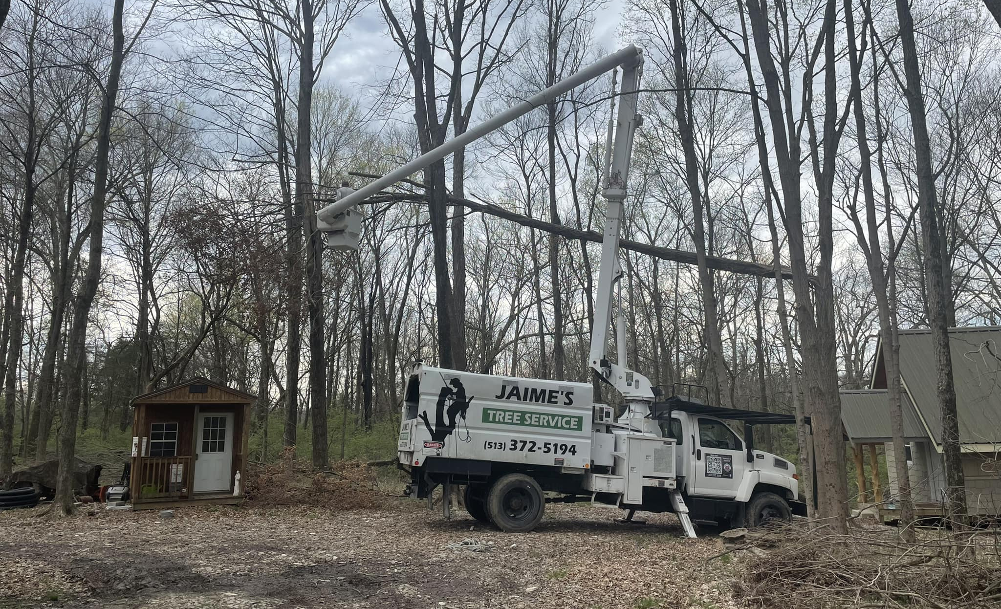 Winter Tree Maintenance | Hamilton, OH | Jaime's Tree Service