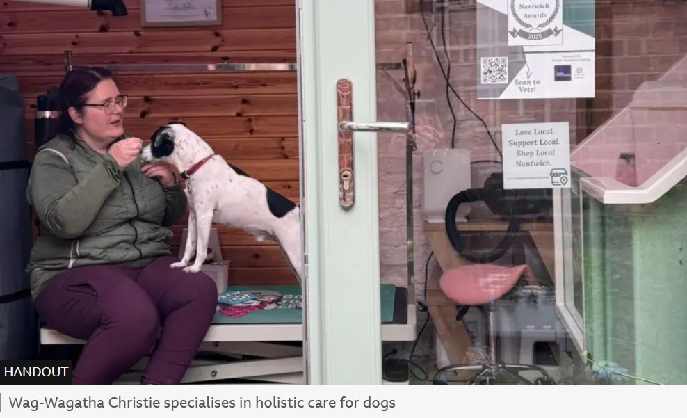 Magazine spread about behaviour grooming for nervous dogs