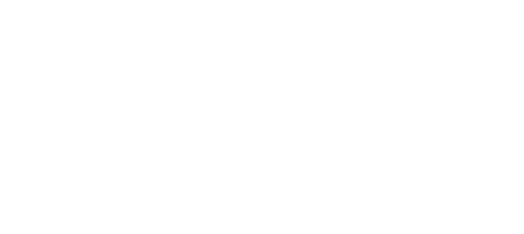 DNG Automatic Gates Logo