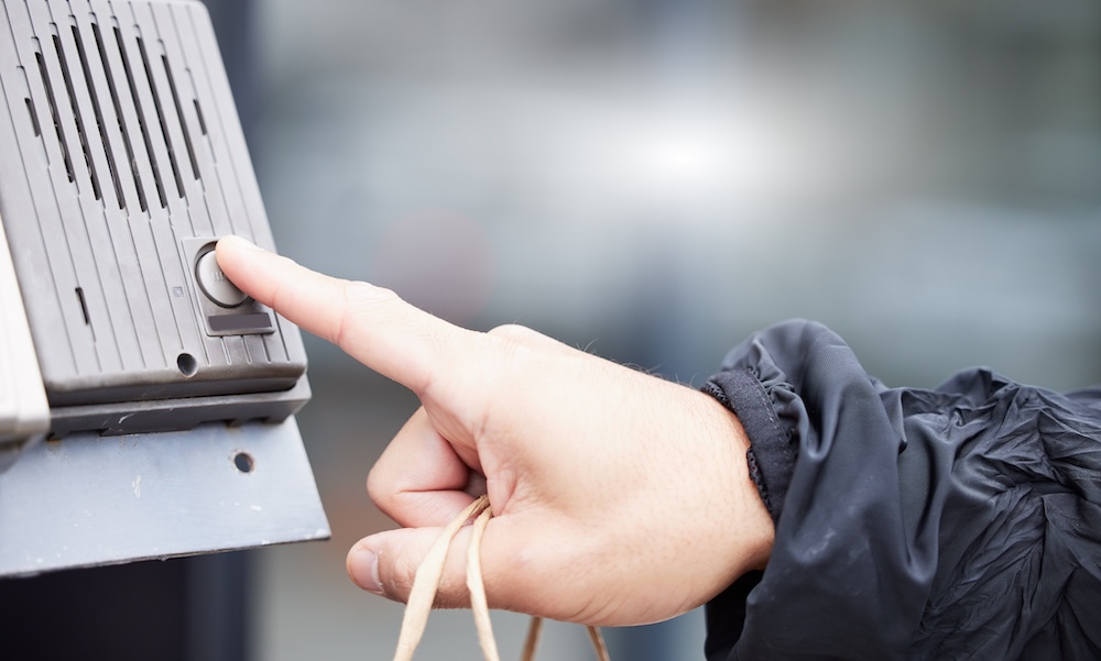 telephone entry system