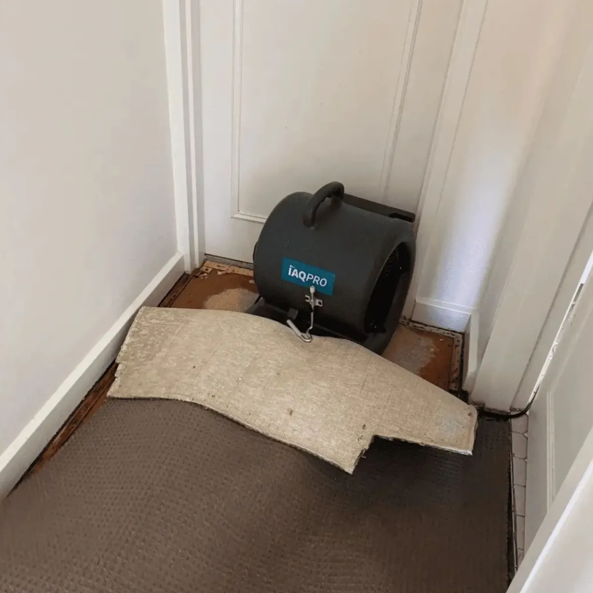 Air blower drying carpet after water damage