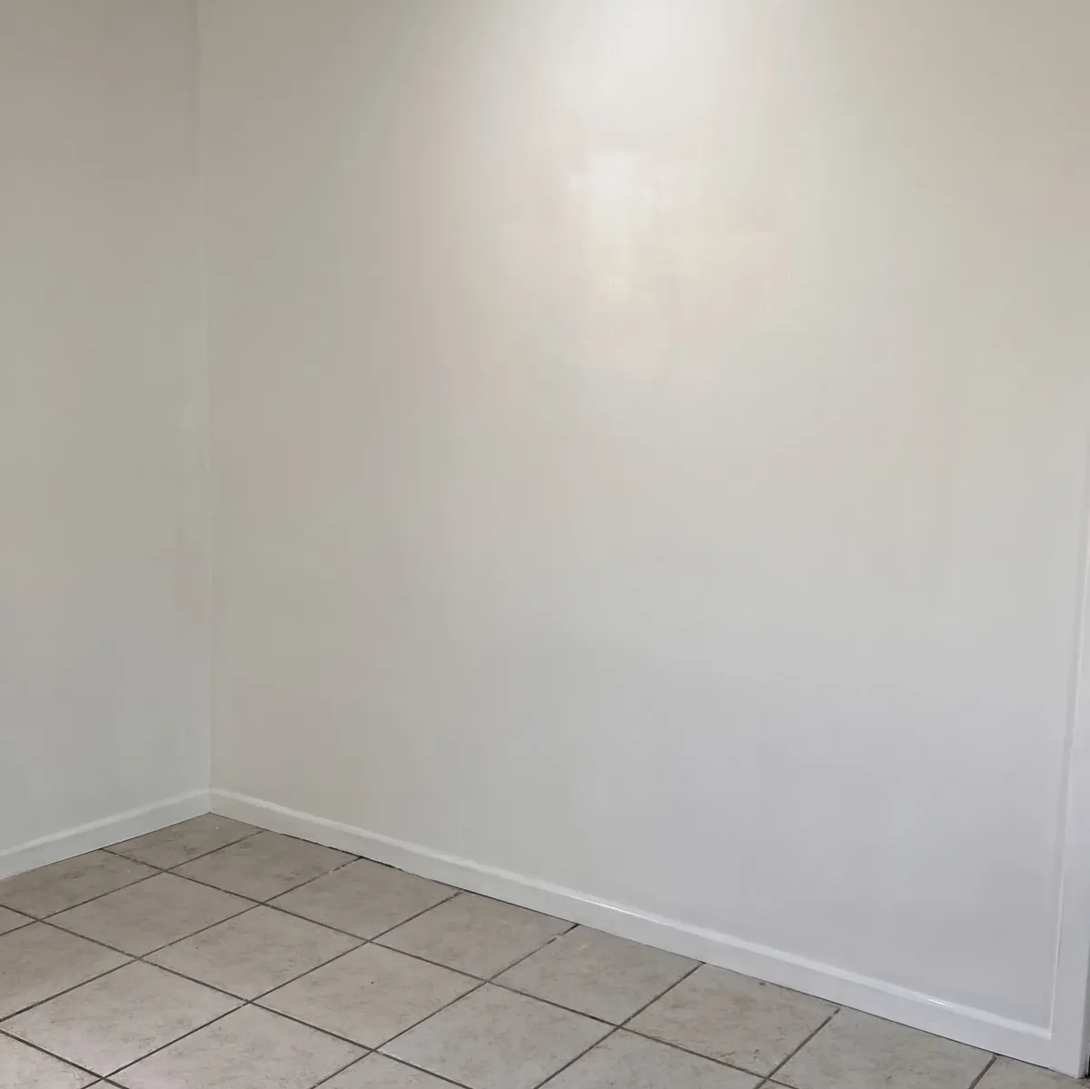 Clean Wall After Mould Treatment