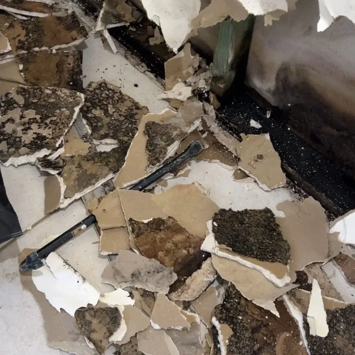Broken drywall pieces showing physical mould removal during restoration work.
