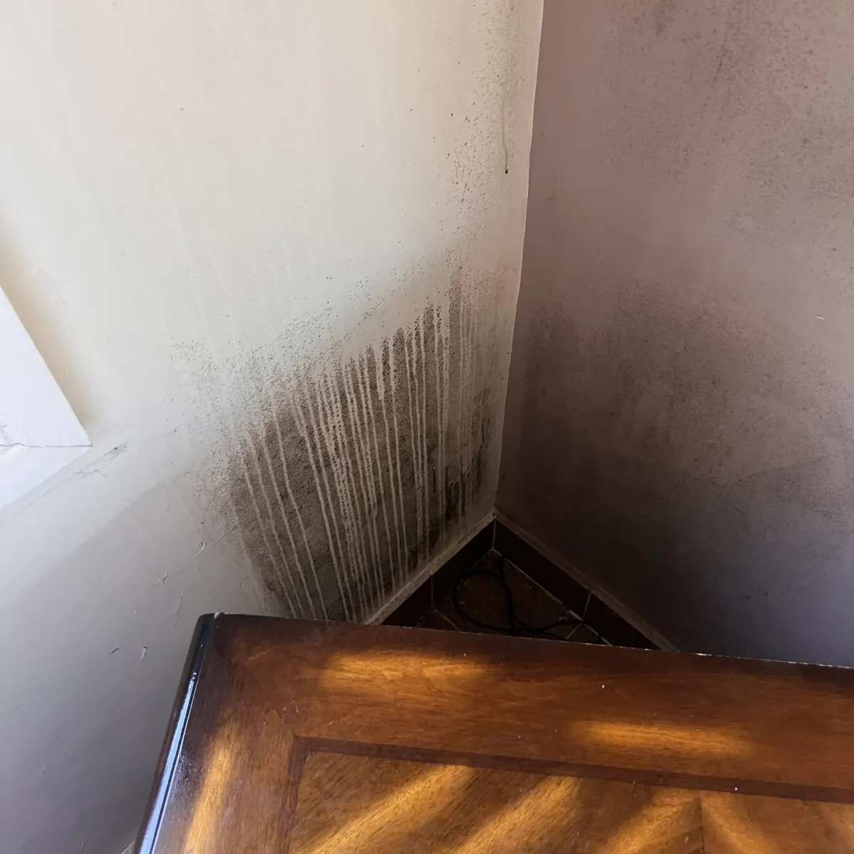 Mould Behind Bedside Table Before Treatment