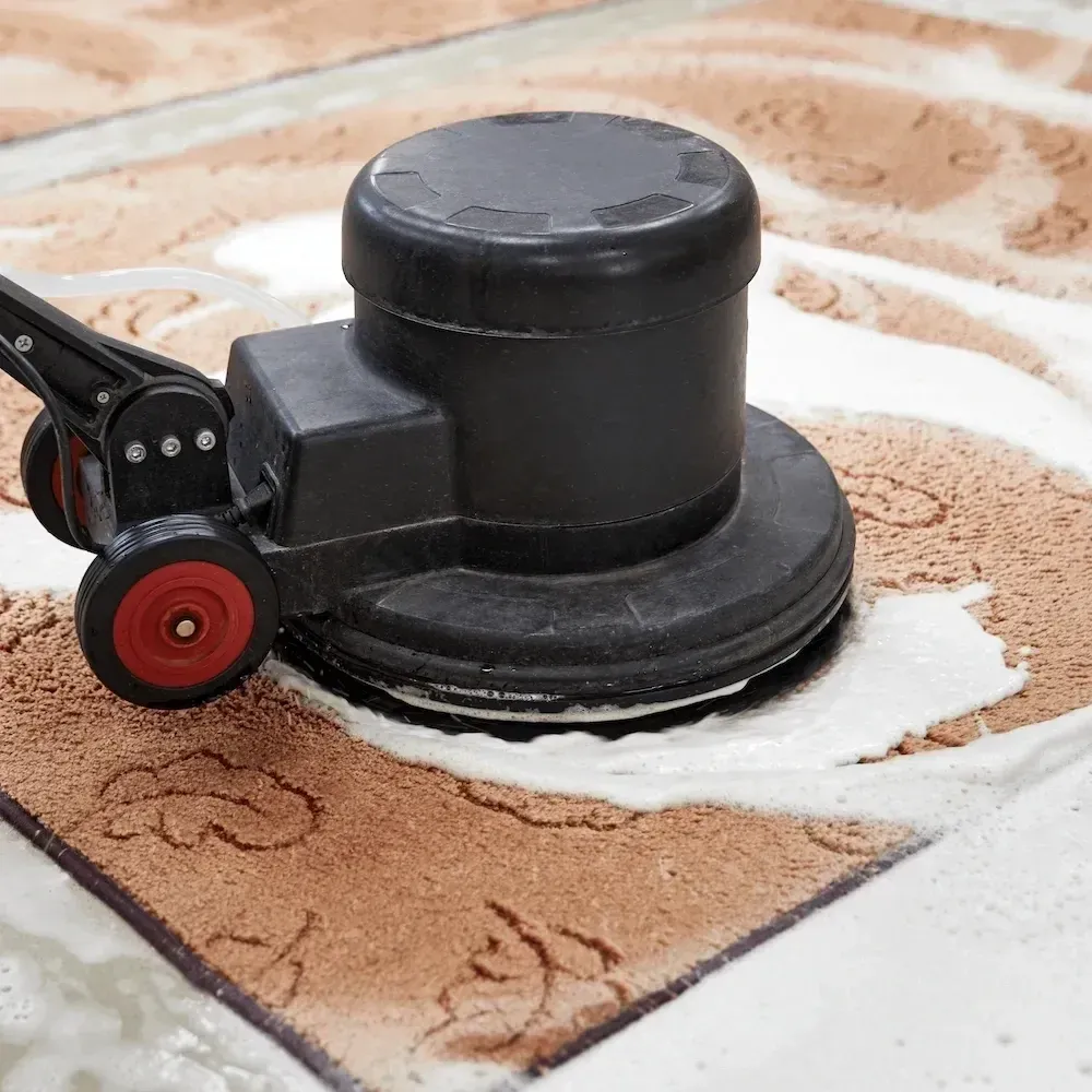 Carpet dry cleaning machine cleaning a patterned rug surface