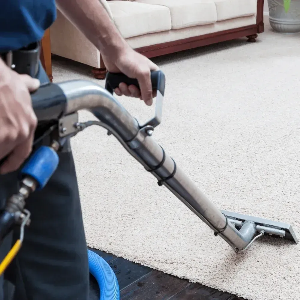 Cleaner using vacuum for deep carpet cleaning during end of lease service